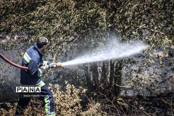 آتش سوزی در مراتع سنندج