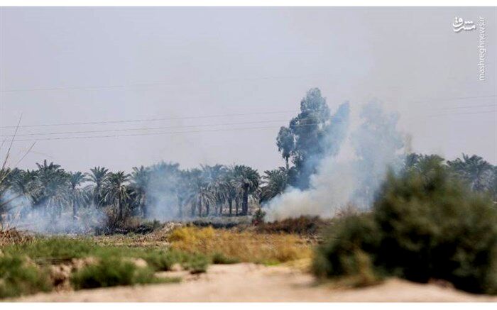 تصاویر/ آتش‌سوزی در تالاب هورالعظیم