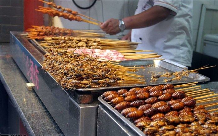 تصویر/ کبابِ سوسک و عقرب در خیابان معروف چین!