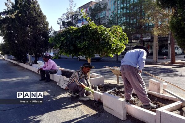 اجرای جدول گذاری خیابان های شهرستان بیرجند