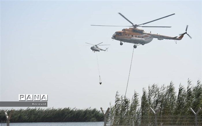 عملیات مهار آتش سوزی در بخش عراقی تالاب هورالعظیم آغاز شد