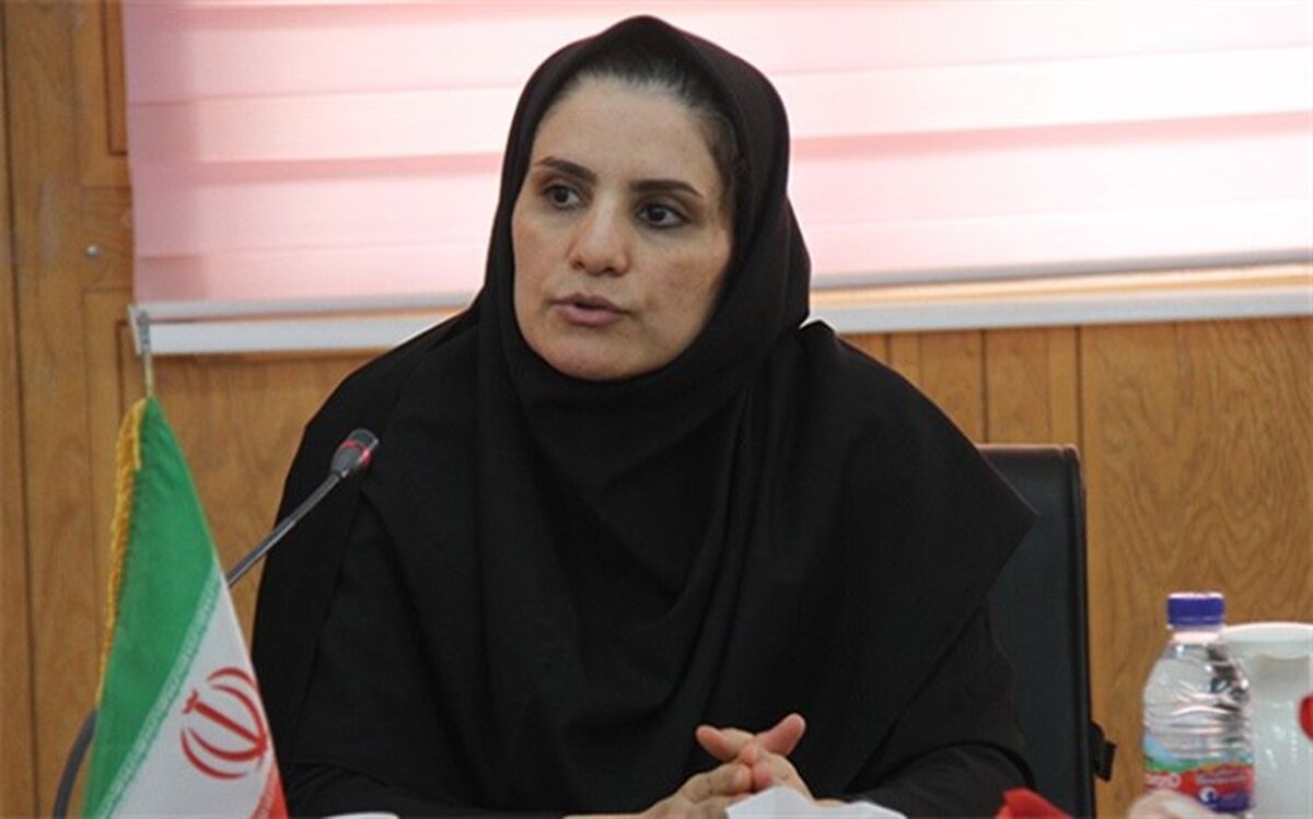 سرپرست دفتر امور بانوان و خانواده استانداری بوشهر: مهارت‌آموزی براساس ظرفیت‌های اشتغال‌زایی مورد توجه است