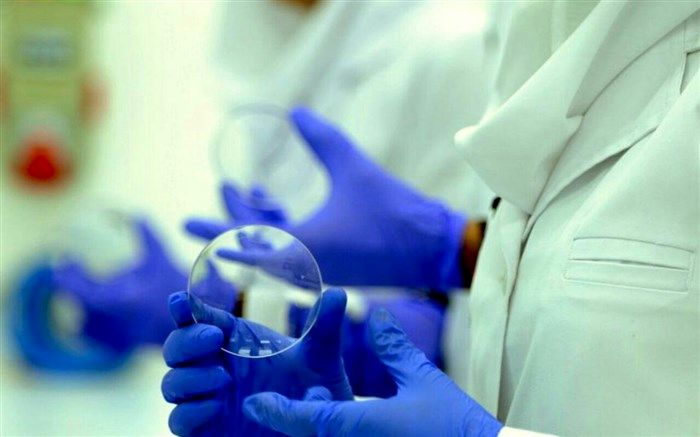 تلاش تولیدکنندگان داخلی برای بی‌نیازی به واردات در وضع تحریم