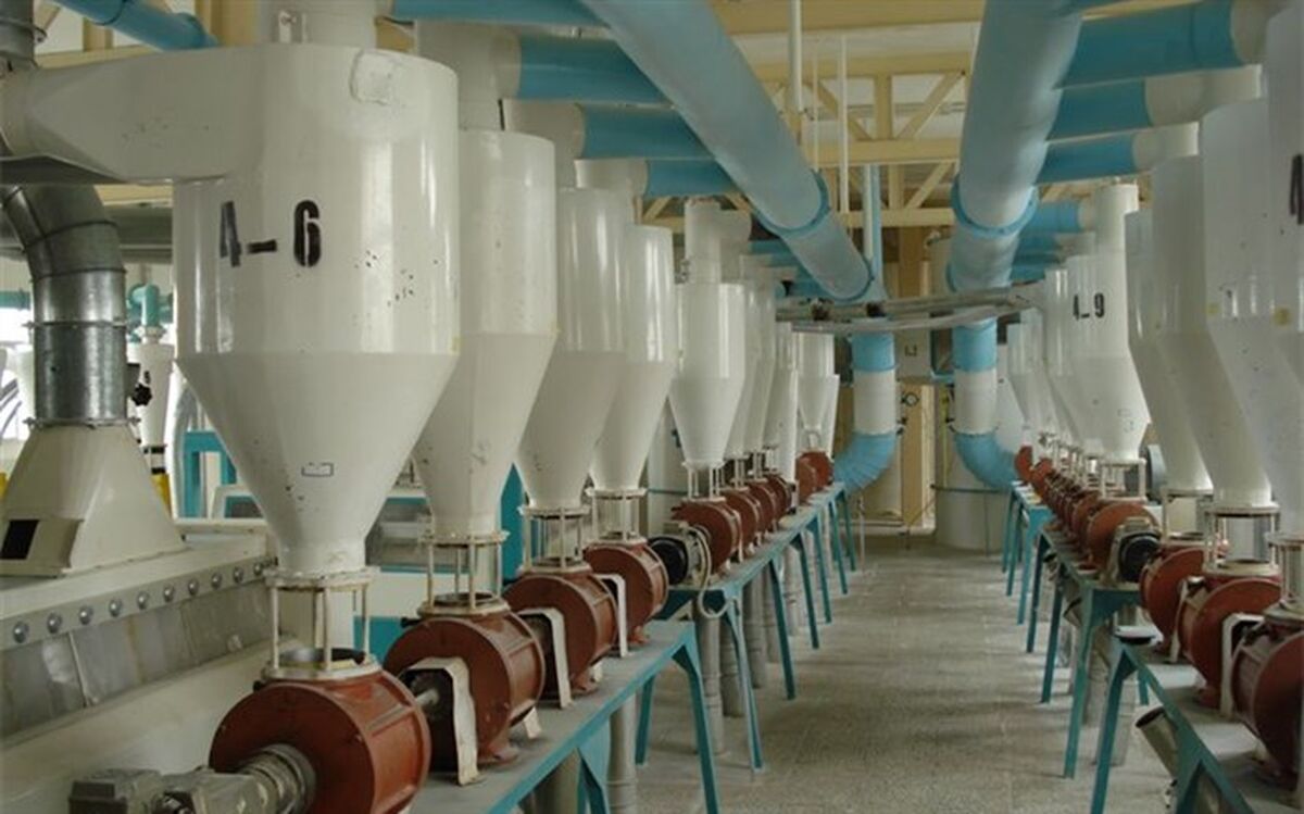خزایی، مدیرعامل یک کارخانه تولید آرد:‌ بخش زیادی  از ظرفیت ذخیره‌سازی گندم بخش خصوصی  بدون استفاده مانده است