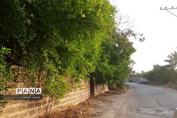 خطر تخریب باغ های میوه در خاوران