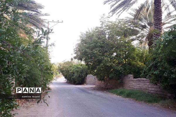 خطر تخریب باغ های میوه در خاوران