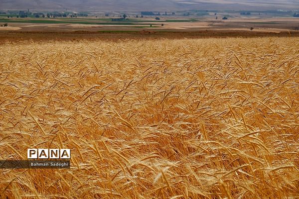 روستای خویگان علیا