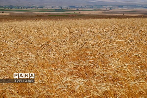 روستای خویگان علیا