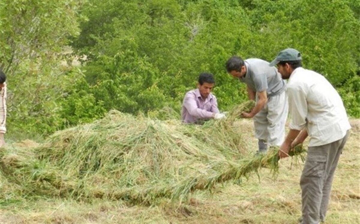 معروف ترین روستاهای خراسان جنوبی| دنیایی متفاوت از آداب و رسوم