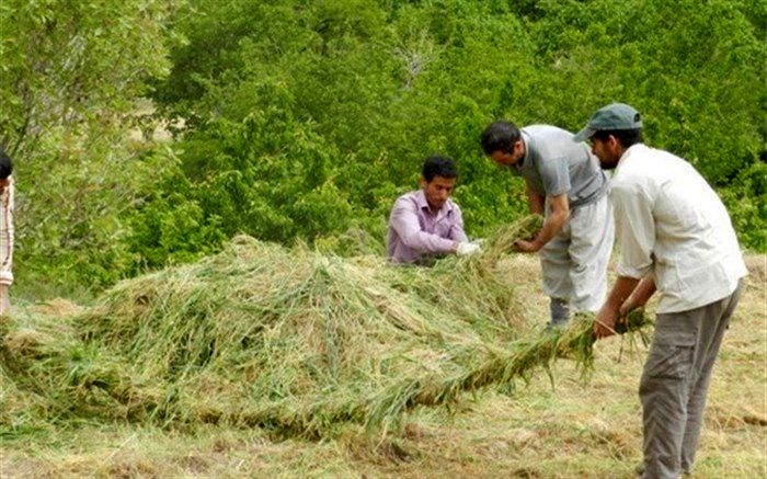 معروف ترین روستاهای خراسان جنوبی| دنیایی متفاوت از آداب و رسوم