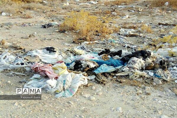 اوضاع نابسامان جمع آوری زباله در لامِرد فارس
