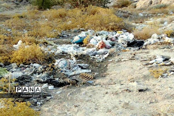 اوضاع نابسامان جمع آوری زباله در لامِرد فارس