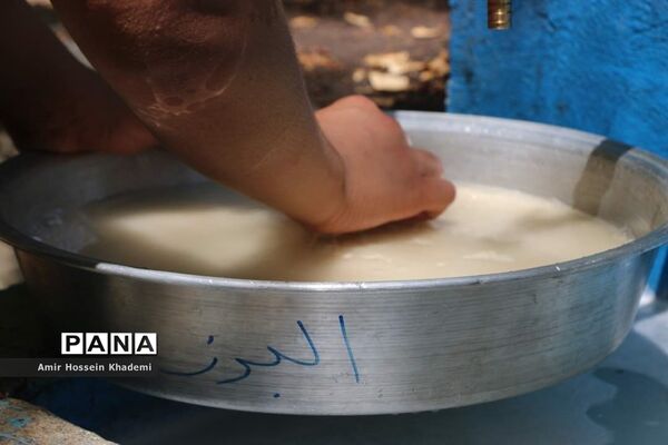 طبخ غذا توسط دانش آموزان البرزی در هشتمین اردوی ملی  پیشتازان کشور