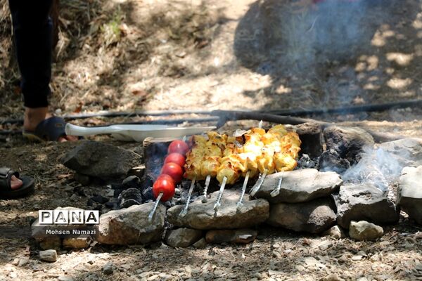 حاشیه‌های اردوی پیشتازان