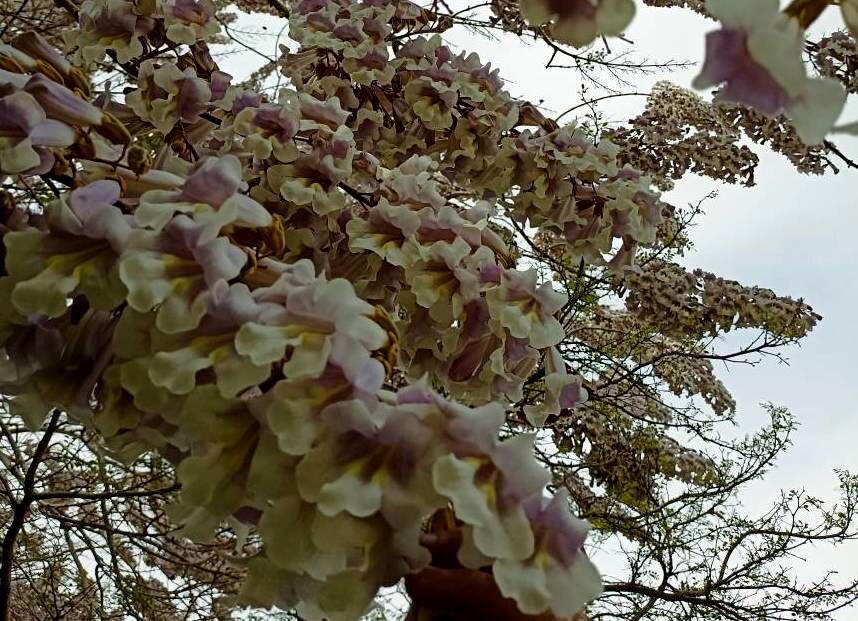 مدادی با جوهر جان برای ایران؛ «حب الوطن من الایمان»