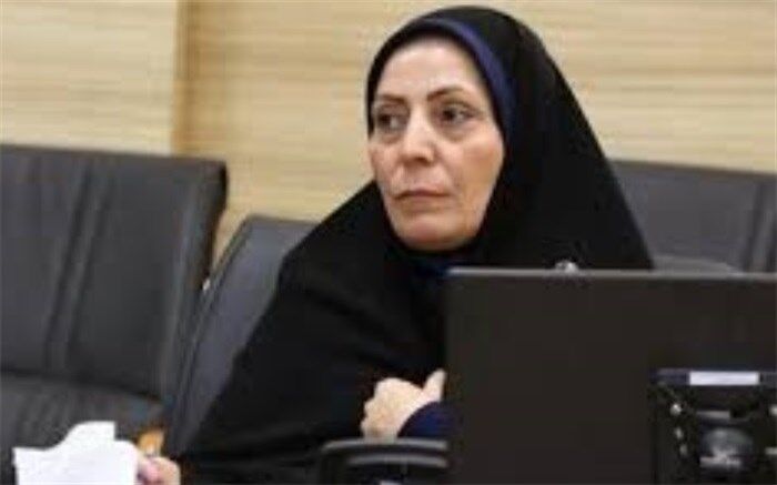 مدیرکل دفتر امور اجتماعی و فرهنگی استانداری یزد: مشارکت اجتماعی باعث تقویت سرمایه‌های اجتماعی می‌شود