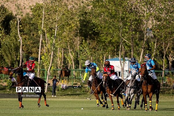 رونمایی از سند ثبت جهانی چوگان