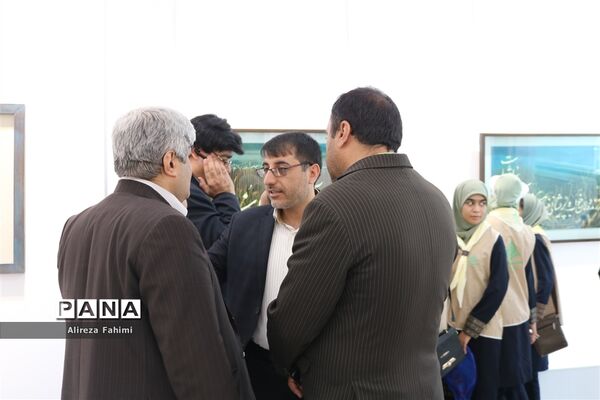نمایشگاه نقاشی‌خط