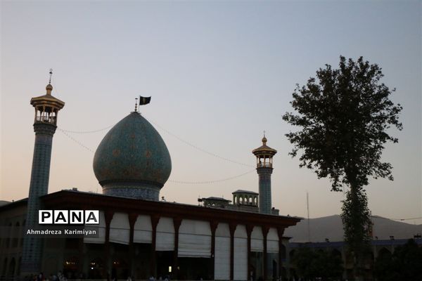 بازدید نمایندگان مجلس دانش آموزی از شاهچراغ و حافظیه