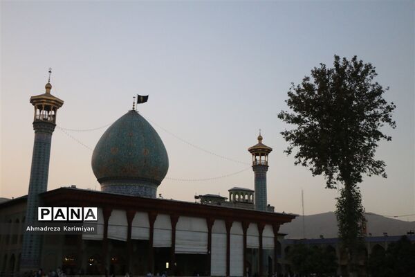 بازدید نمایندگان مجلس دانش آموزی از شاهچراغ و حافظیه