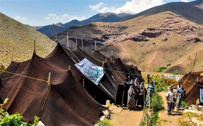 نقش مهم   عشایر ایرانشهر در تامین گوشت قرمز  کشور