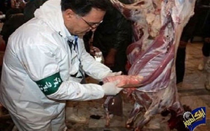 استقرار 45 اکیپ ثابت و سیار بازرسان بهداشتی و ناظرین ذبح شرعی در استان مرکزی