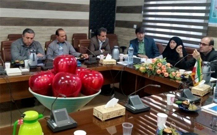 کیفیت بخشی آموزشی، اولویت اصلی حوزه سوادآموزی است