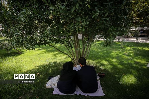 دعای روز عرفه در دانشگاه تهران