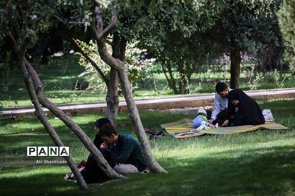 دعای روز عرفه در دانشگاه تهران