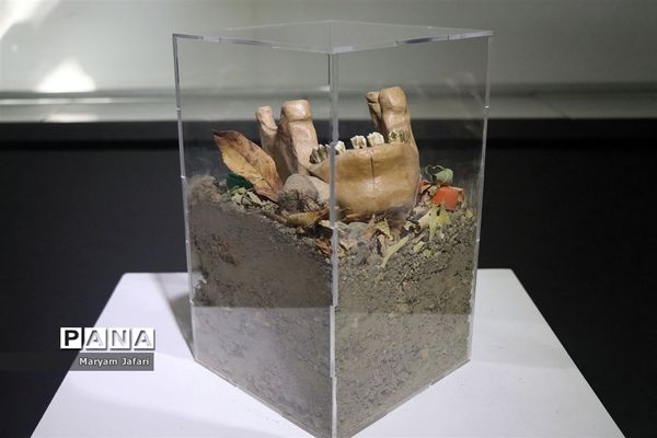 نمایشگاه گروهی نقاشی و آثار حجمی (مسافر وهم)