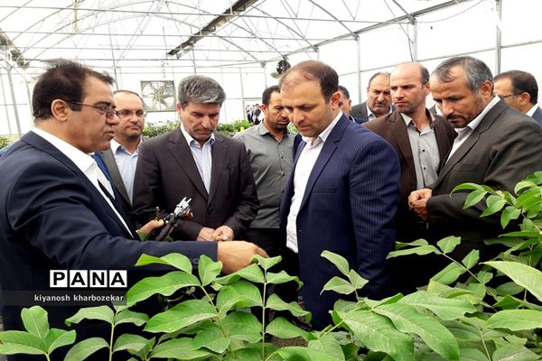 افتتاح و بازدید از طرح های بخش کشاورزی  جهاد کشاورزی آذربایجان غربی