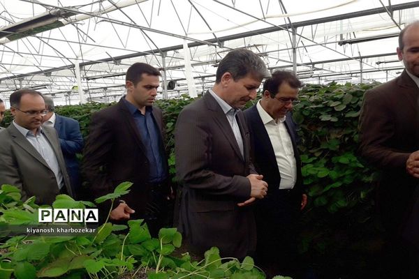 افتتاح و بازدید از طرح های بخش کشاورزی  جهاد کشاورزی آذربایجان غربی