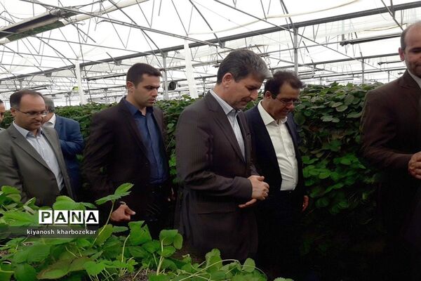 افتتاح و بازدید از طرح های بخش کشاورزی  جهاد کشاورزی آذربایجان غربی