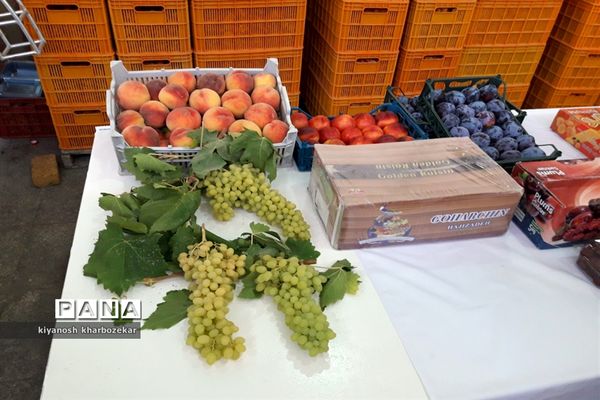 افتتاح و بازدید از طرح های بخش کشاورزی  جهاد کشاورزی آذربایجان غربی