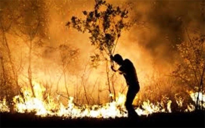 بخشی از جنگل های سردشت طعمه حریق شد