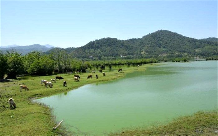 قائم مقام سازمان حفاظت محیط زیست آذربایجان شرقی در بناب: حق آبه تالاب های قره قشلاق بناب و قوری گل بستان آباد تأمین می شود