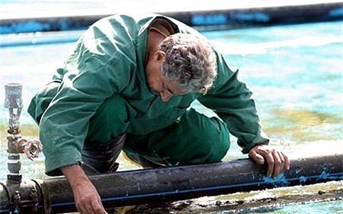 بخش اندکی از کارگران امنیت شغلی دارند