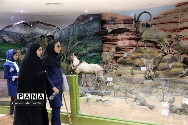 بازدید دانش آموزان همیار مشاور دختر از موزه تاریخ طبیعی ارومیه