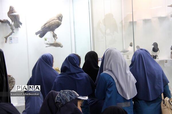 بازدید دانش آموزان همیار مشاور دختر از موزه تاریخ طبیعی ارومیه