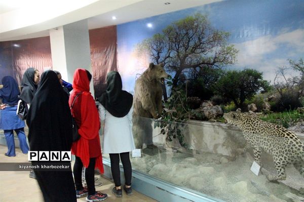 بازدید دانش آموزان همیار مشاور دختر از موزه تاریخ طبیعی ارومیه