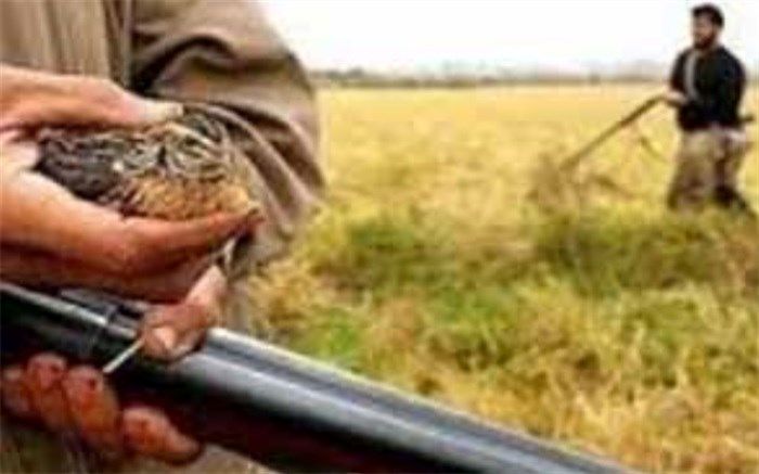 ناکامی شکارچیان متخلف در تالاب گروس مهاباد