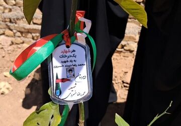 غرس نهال به یاد شهدای جنگ تحمیلی سوم در اردوگاه چرخاب زارچ