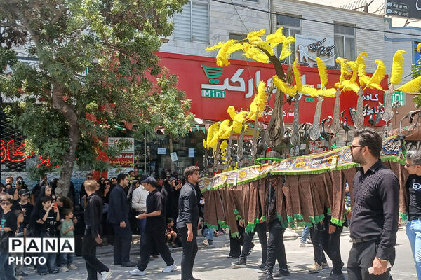 مراسم تاسوعای حسینی در شهرستان شیروان 