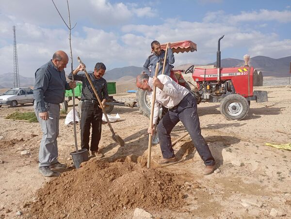 کاشت نهال در آرامستان روستای گزکوه