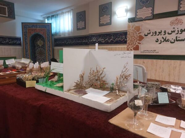 برگزاری نمایشگاه گیاهان دارویی در دبیرستان شاهد شهدای اقتدار ملارد 