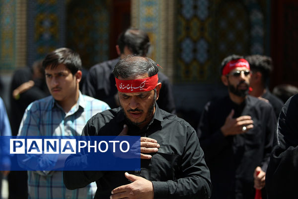 عرض تسلیت دسته‌های عزاداری سالروز شهادت امام باقر(ع) به کریمه اهل بیت