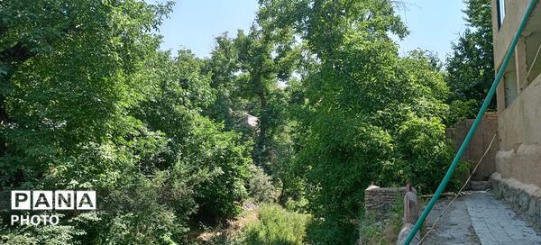 در آغوشِ سکوت؛ جایی که زمین هنوز با خود حرف می‌زند
