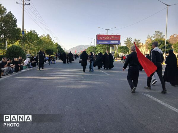 قدم هایی در راه سیدالشهدا