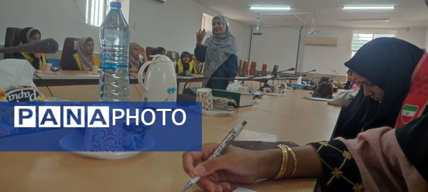 برگزاری کارگاه آموزشی خبرنگاری پانا در فین