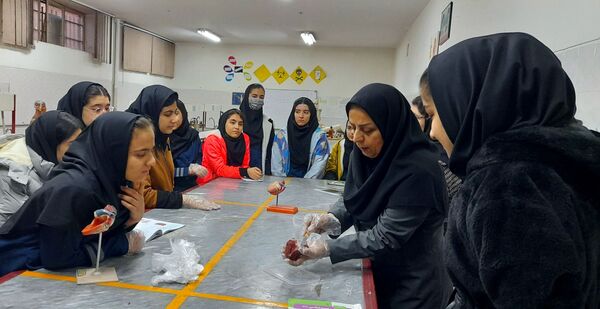 کارگاه تشریح قلب و آناتومی بدن انسان